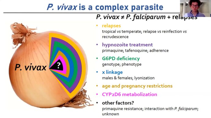 powerpoint slide showing complexity of vivax treatment